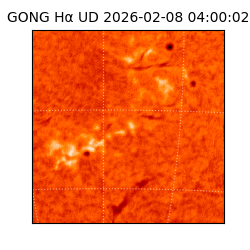 gong - 2026-02-08T04:00:02