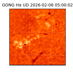 gong - 2026-02-08T05:00:02