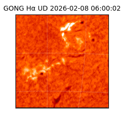 gong - 2026-02-08T06:00:02