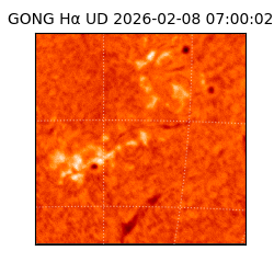 gong - 2026-02-08T07:00:02