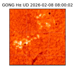 gong - 2026-02-08T08:00:02