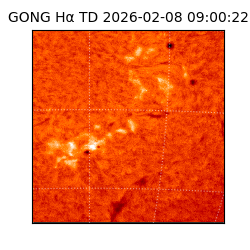 gong - 2026-02-08T09:00:22