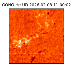 gong - 2026-02-08T11:00:02