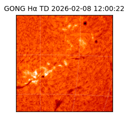 gong - 2026-02-08T12:00:22