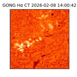 gong - 2026-02-08T14:00:42