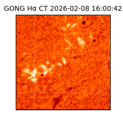 gong - 2026-02-08T16:00:42