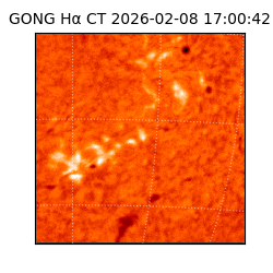 gong - 2026-02-08T17:00:42