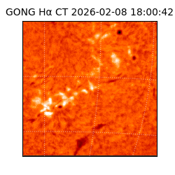 gong - 2026-02-08T18:00:42