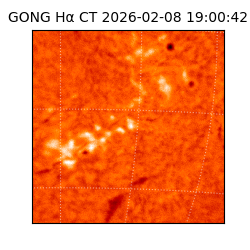 gong - 2026-02-08T19:00:42