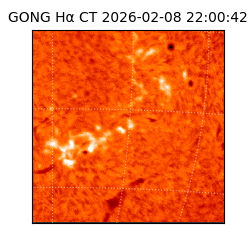 gong - 2026-02-08T22:00:42