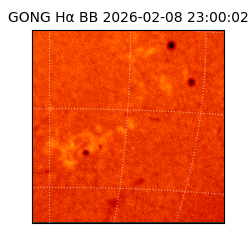 gong - 2026-02-08T23:00:02