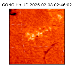 gong - 2026-02-08T02:46:02