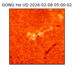 gong - 2026-02-08T05:00:02