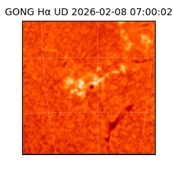 gong - 2026-02-08T07:00:02