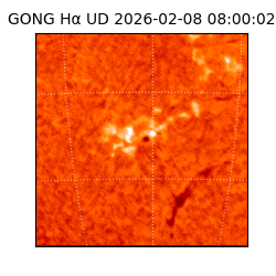 gong - 2026-02-08T08:00:02