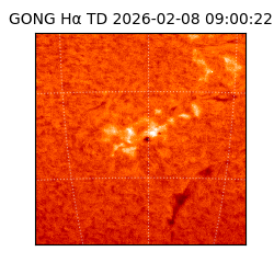 gong - 2026-02-08T09:00:22