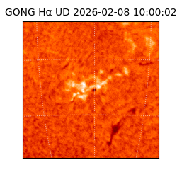 gong - 2026-02-08T10:00:02