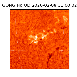 gong - 2026-02-08T11:00:02