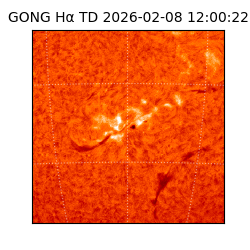 gong - 2026-02-08T12:00:22