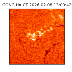 gong - 2026-02-08T13:00:42