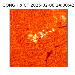 gong - 2026-02-08T14:00:42