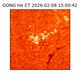 gong - 2026-02-08T15:00:42