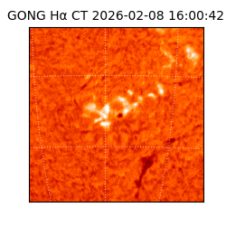 gong - 2026-02-08T16:00:42
