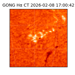 gong - 2026-02-08T17:00:42