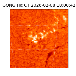 gong - 2026-02-08T18:00:42