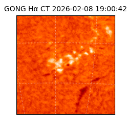 gong - 2026-02-08T19:00:42