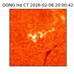 gong - 2026-02-08T20:00:42