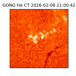 gong - 2026-02-08T21:00:42