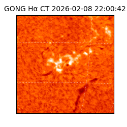 gong - 2026-02-08T22:00:42