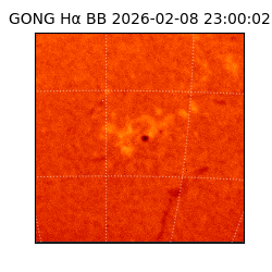 gong - 2026-02-08T23:00:02