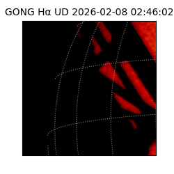 gong - 2026-02-08T02:46:02