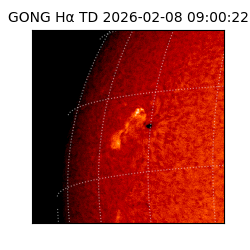 gong - 2026-02-08T09:00:22