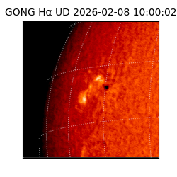 gong - 2026-02-08T10:00:02
