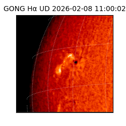 gong - 2026-02-08T11:00:02