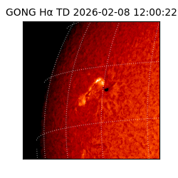gong - 2026-02-08T12:00:22