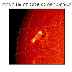 gong - 2026-02-08T14:00:42