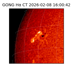 gong - 2026-02-08T16:00:42