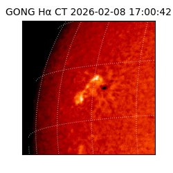 gong - 2026-02-08T17:00:42