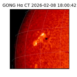 gong - 2026-02-08T18:00:42