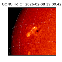 gong - 2026-02-08T19:00:42