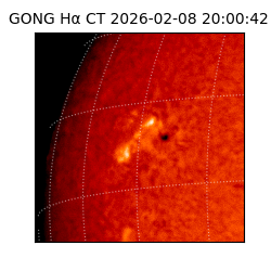 gong - 2026-02-08T20:00:42