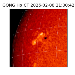 gong - 2026-02-08T21:00:42