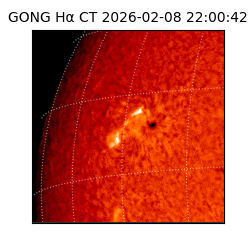 gong - 2026-02-08T22:00:42