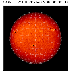 gong - 2026-02-08T00:00:02