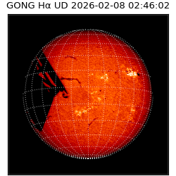 gong - 2026-02-08T02:46:02