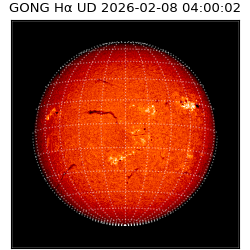 gong - 2026-02-08T04:00:02